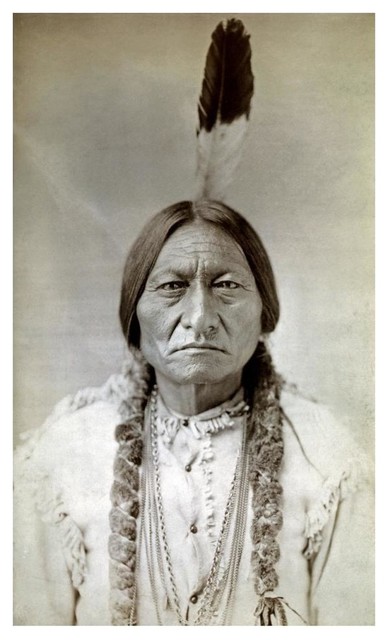 Sitting bull portrait image
