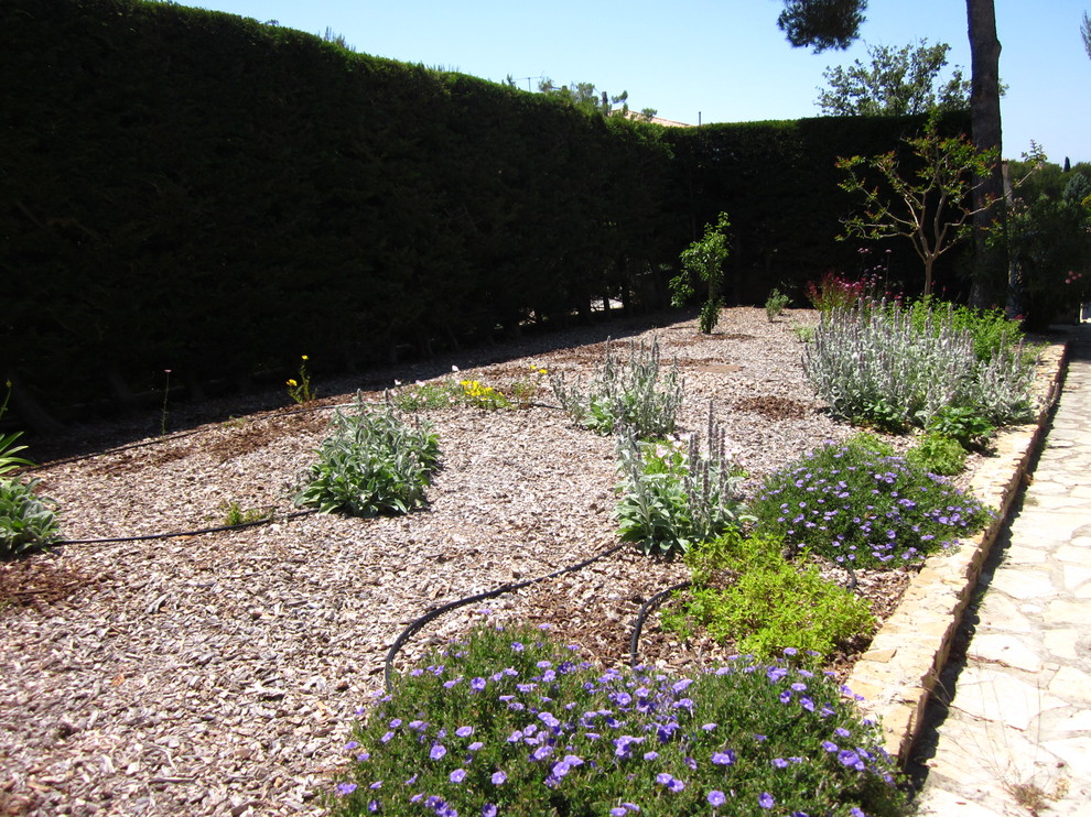 Photo of a large mediterranean front yard full sun driveway for spring in Marseille with mulch.