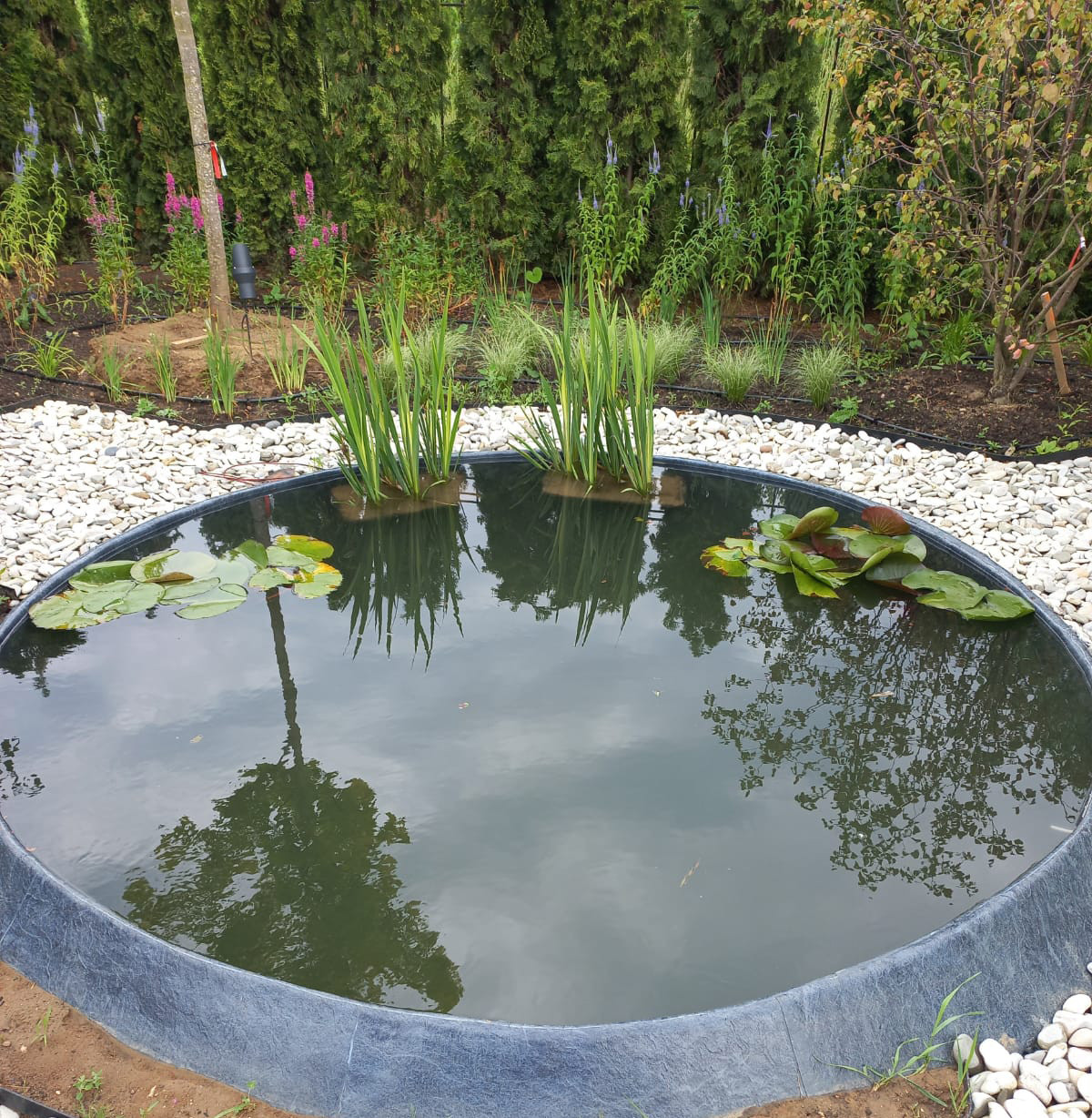 Landscape design of the territory (Moscow region)