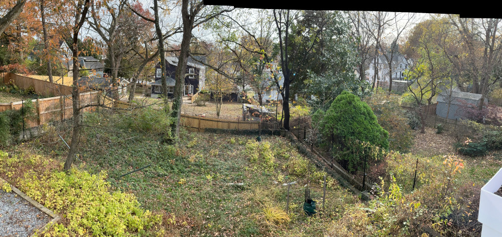 Deep cleaning and invasives removal