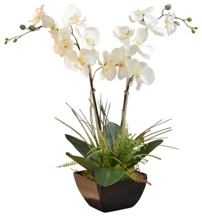 Orchids with Fern and Foliage, White