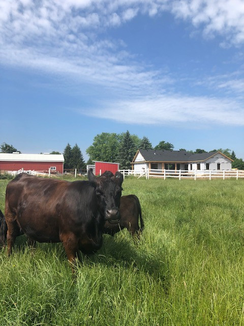 Modern Farmhouse