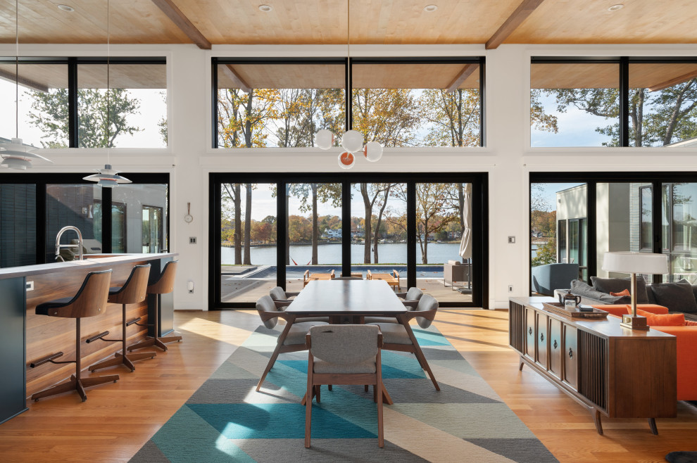 Dining room - mid-century modern dining room idea in Other