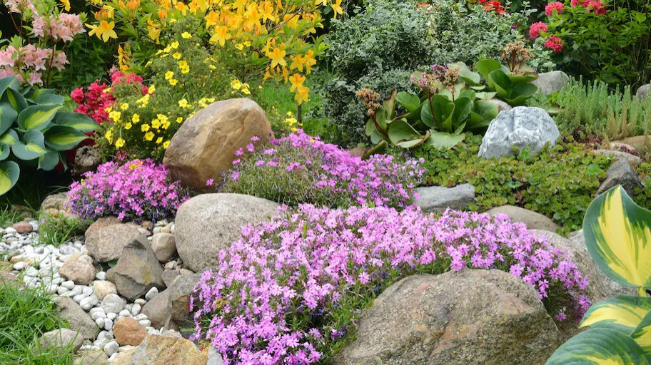 Garden Landscape and Outdoor Oasis