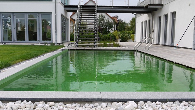 Naturpools contemporaneo-piscina