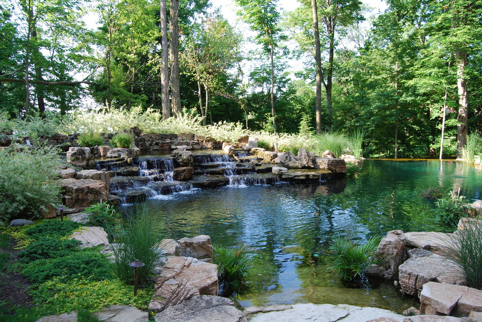 This is an example of a traditional garden in Indianapolis with with pond.