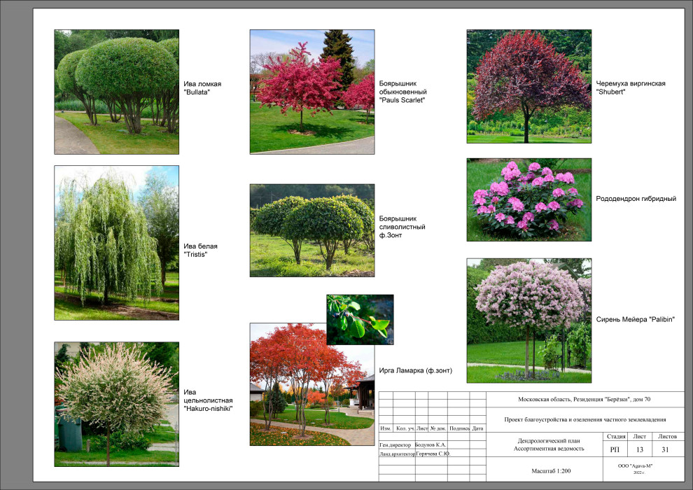 Резиденция Берёзки.