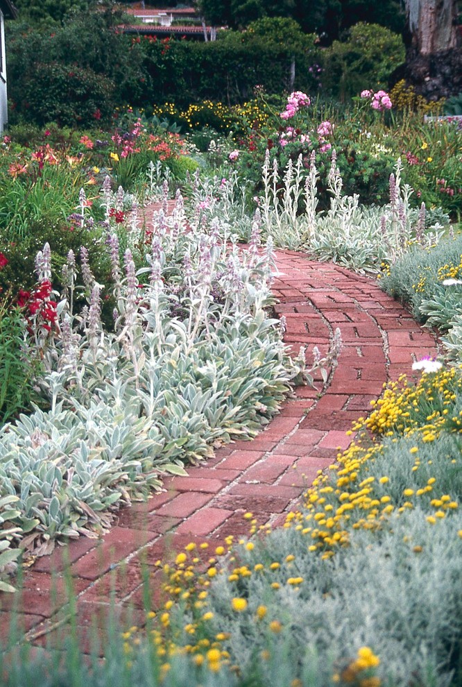 Photo of a mid-sized country backyard full sun formal garden for spring in Santa Barbara with a garden path and brick pavers.