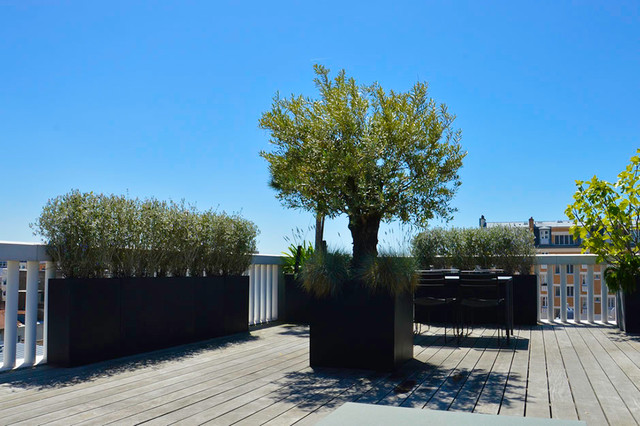 Jardin en pots contemporary-deck