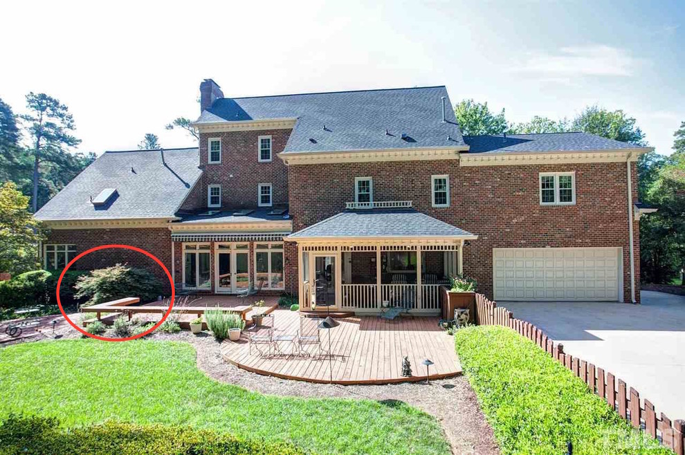 Are these Japanese maples valuable?