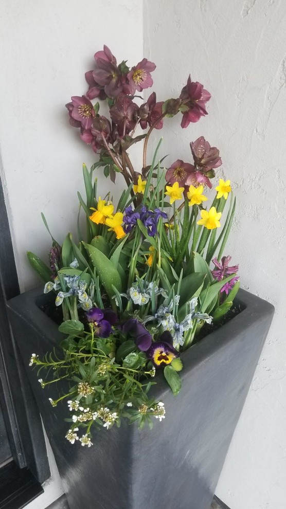 Tall Square Matte Black Boise by Boise Pottery Houzz