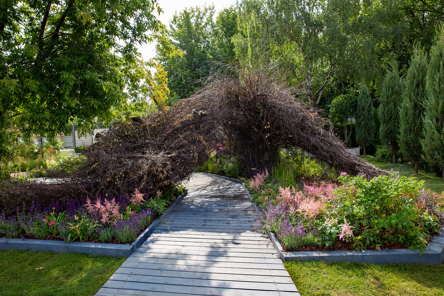 Фотосъемка Сада   по  Метрелинку на MFS 2019 Авторы М,Береснева М. ПРИНТЦ