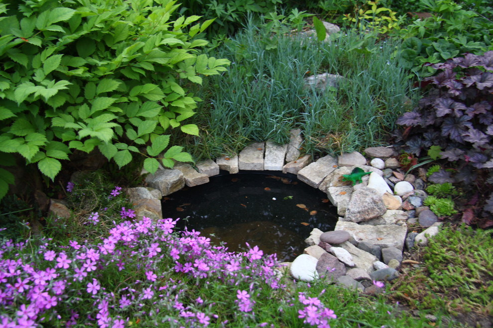 Наш сад / Our garden