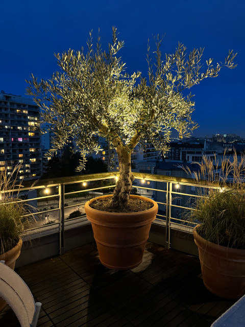Une terrasse d'entreprise &agrave; Boulogne Billancourt contemporaneo-terraza-y-balcon