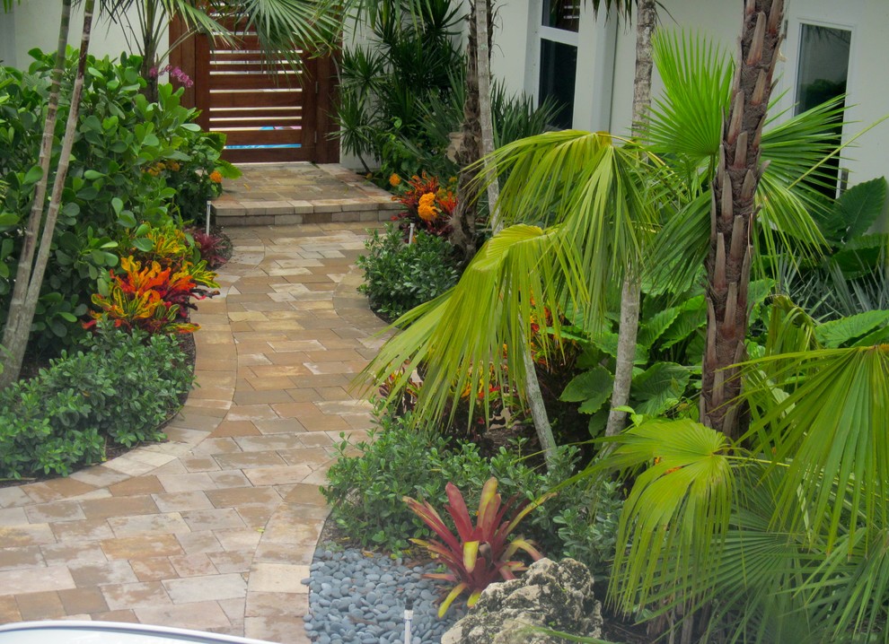 Florida Front yard garden design - Tropical - Landscape - Miami - by