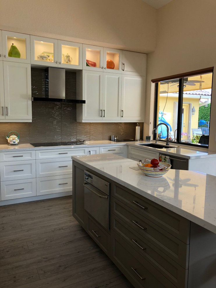 Kitchen - transitional kitchen idea in Miami