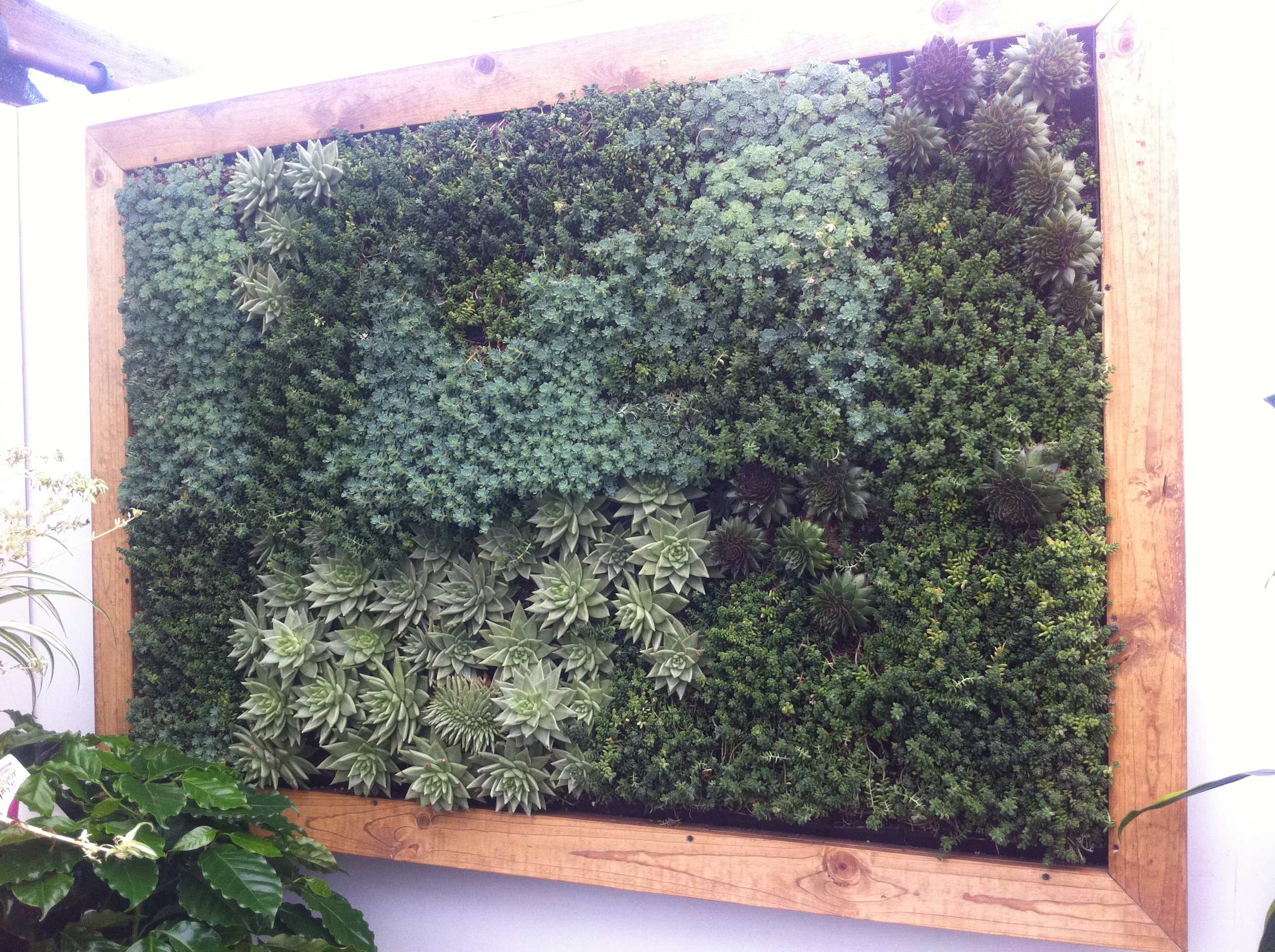 Living Walls