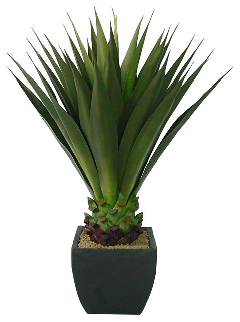 in plastic pot with stem height approx 160 cm Art Plant Agave Green