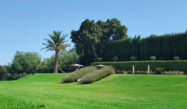 Jardins mediterraneo-piscina