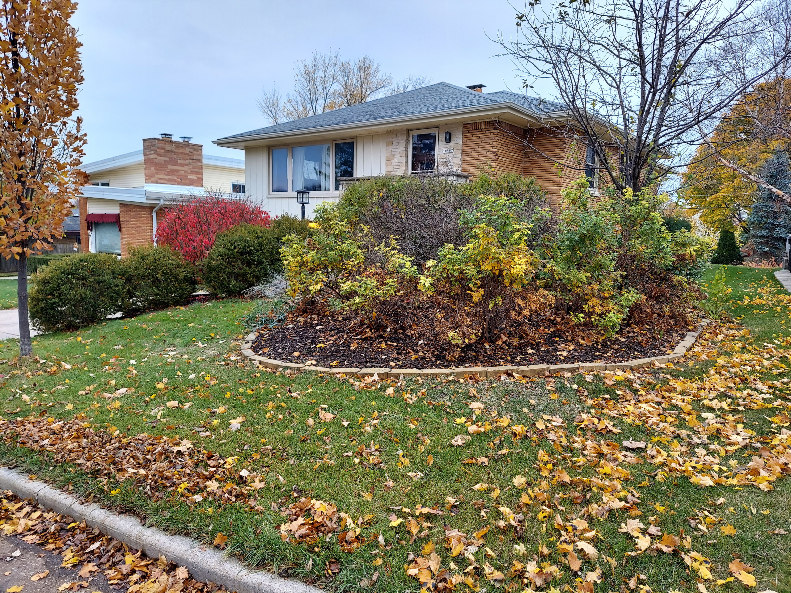 Mid-Century Front Yard + Backyard Landscape - Wauwatosa, WI