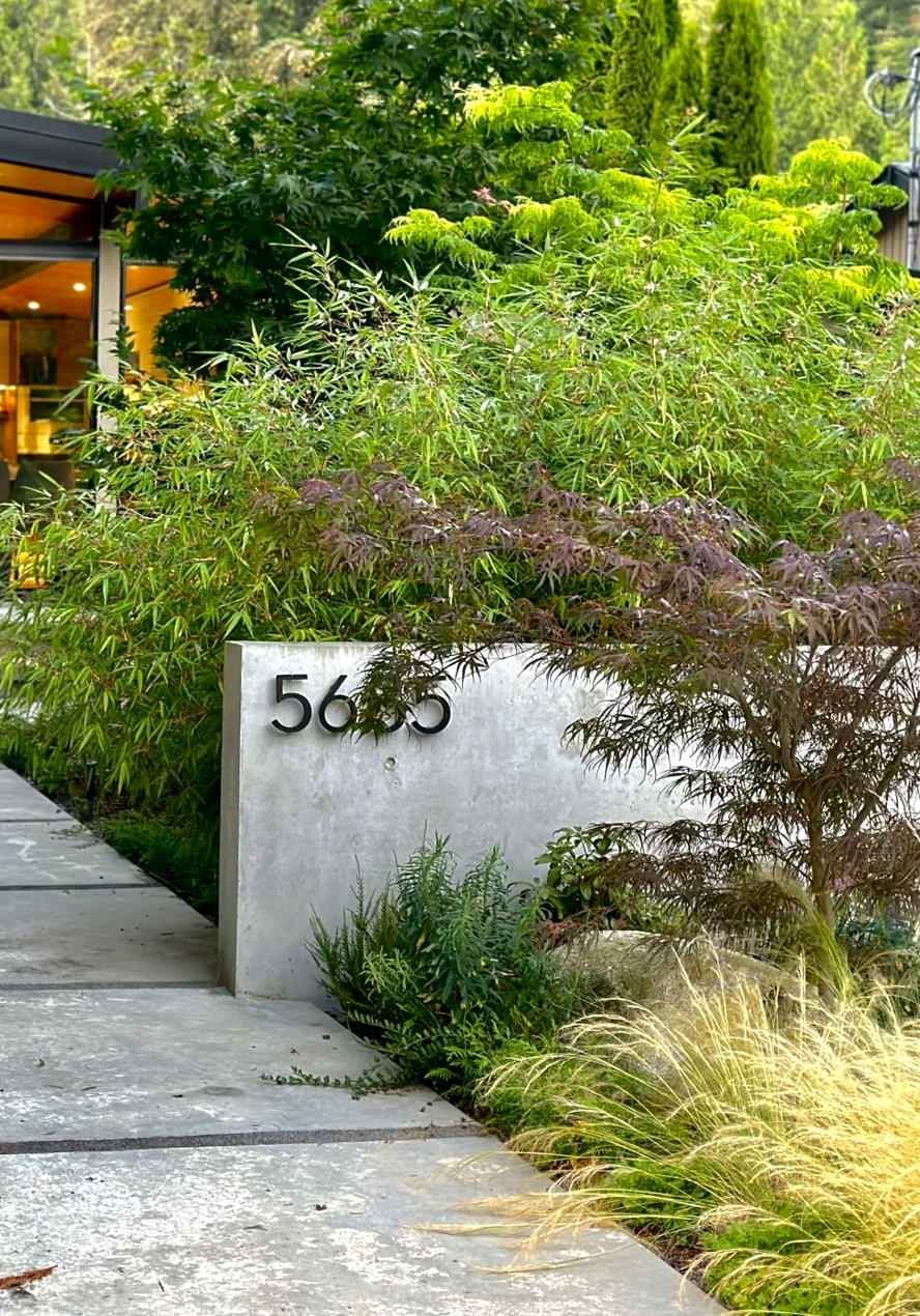 Mid Century Modernized