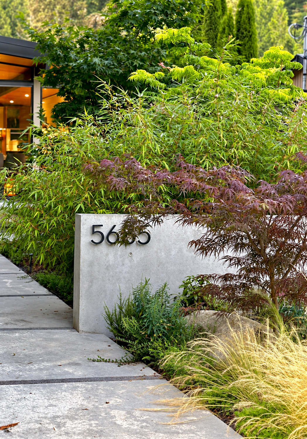 Mid Century Modernized