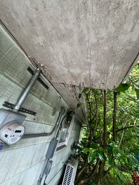 Exterior House Painting