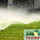 Thompson Irrigation & Lawn