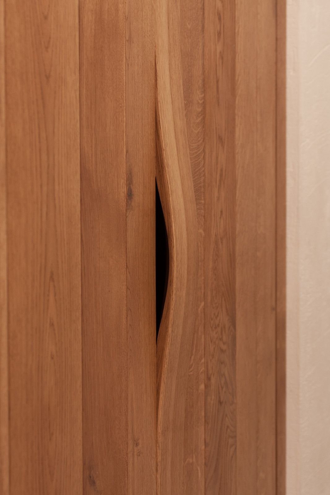 Встроенный шкаф в прихожей