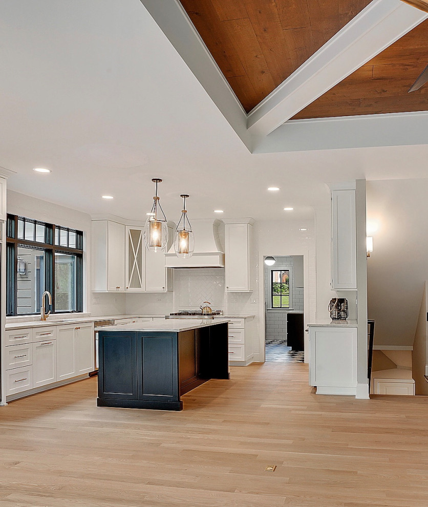 Home design - transitional home design idea in Chicago