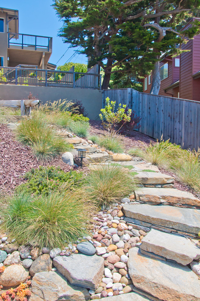 This is an example of a contemporary sloped full sun xeriscape in San Luis Obispo.