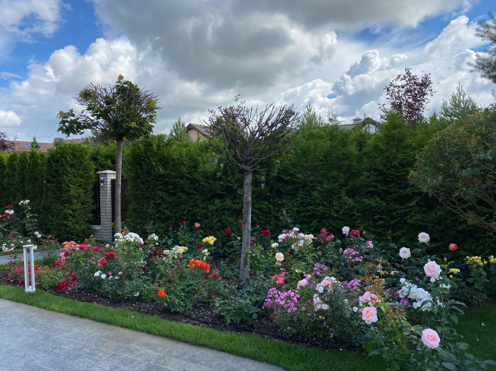 КП Пестово "Evergreen'