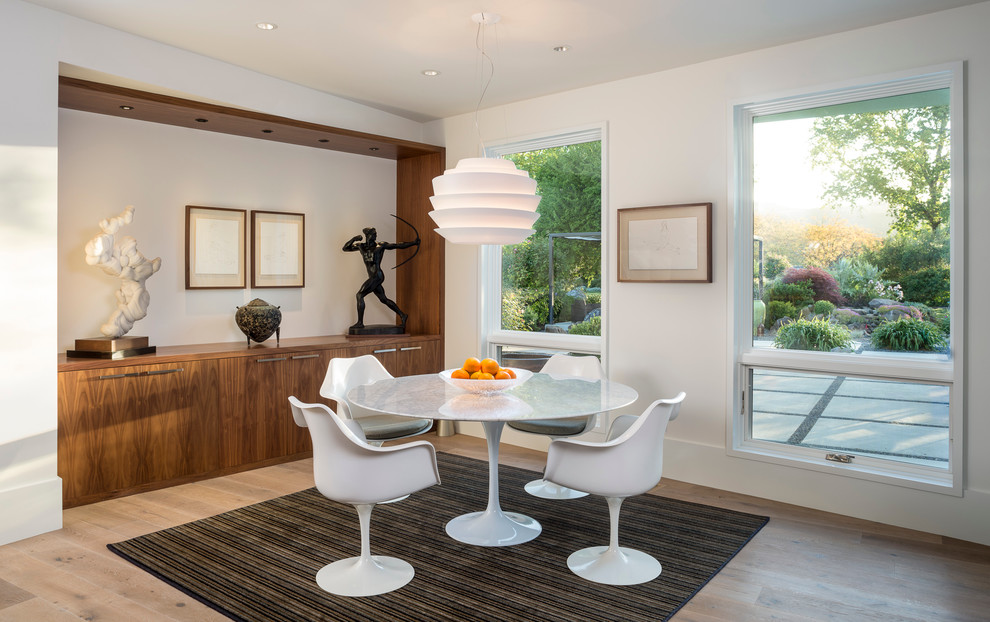 Design ideas for a contemporary dining room in Other with white walls and light hardwood floors.