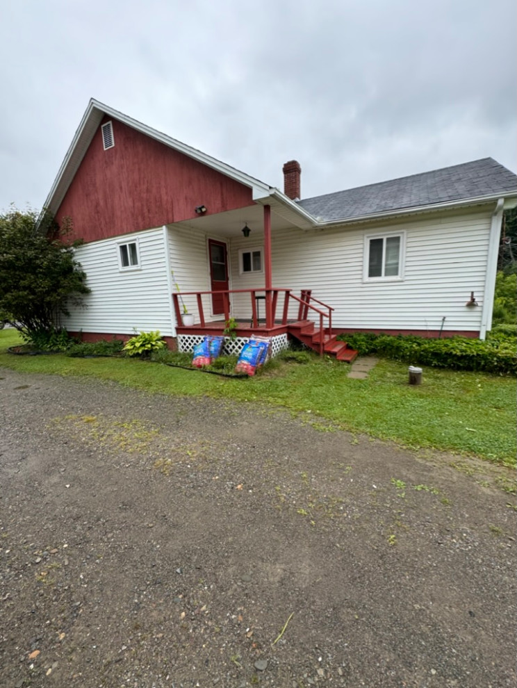 The newest project is a full of potential tiny home with the world's greatest tenants.