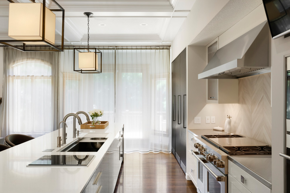Kitchen - transitional kitchen idea in Minneapolis