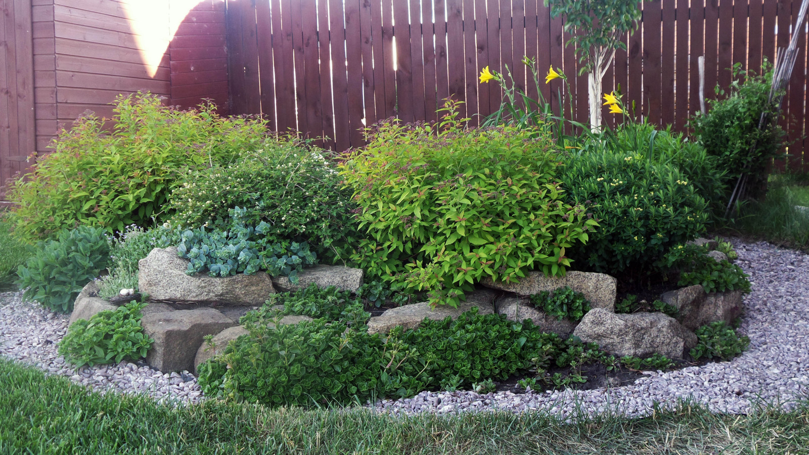 Цветники и композиции