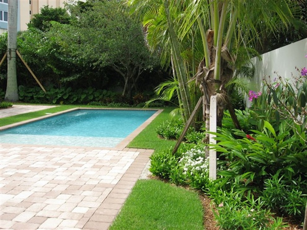 Photo of a mid-sized tropical front yard kidney-shaped lap pool in Miami with brick pavers.