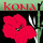 Kona Land And Water Escape