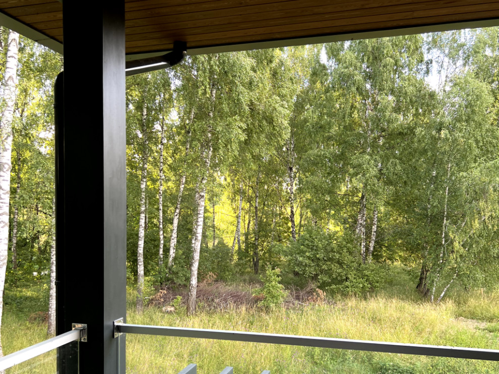 Двухэтажный дом с плоской кровлей и панорамным остеклением Flta'n'Wood 280м²