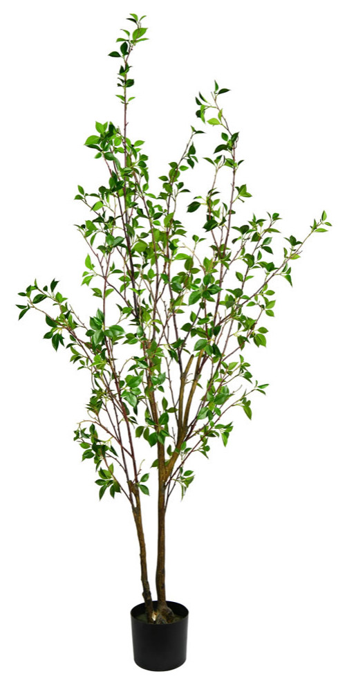 Vickerman Potted Baby Leaf Tree, 72" Traditional Artificial Plants And Trees by Vickerman