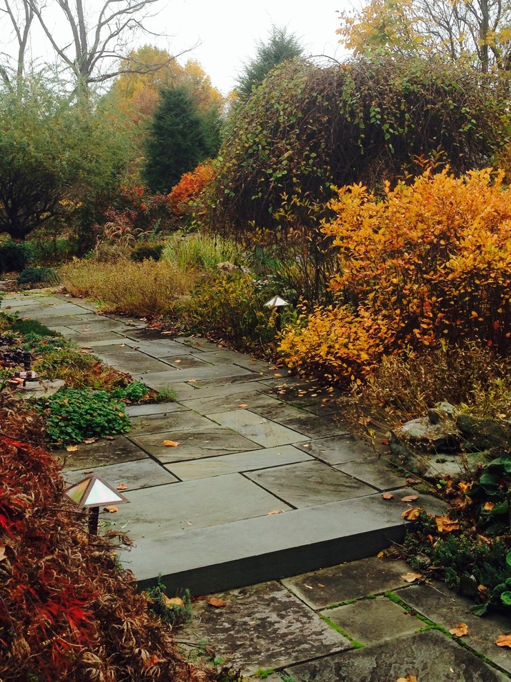 Dwarf Fothergilla 'Suzanne' Craftsman Garden Baltimore by
