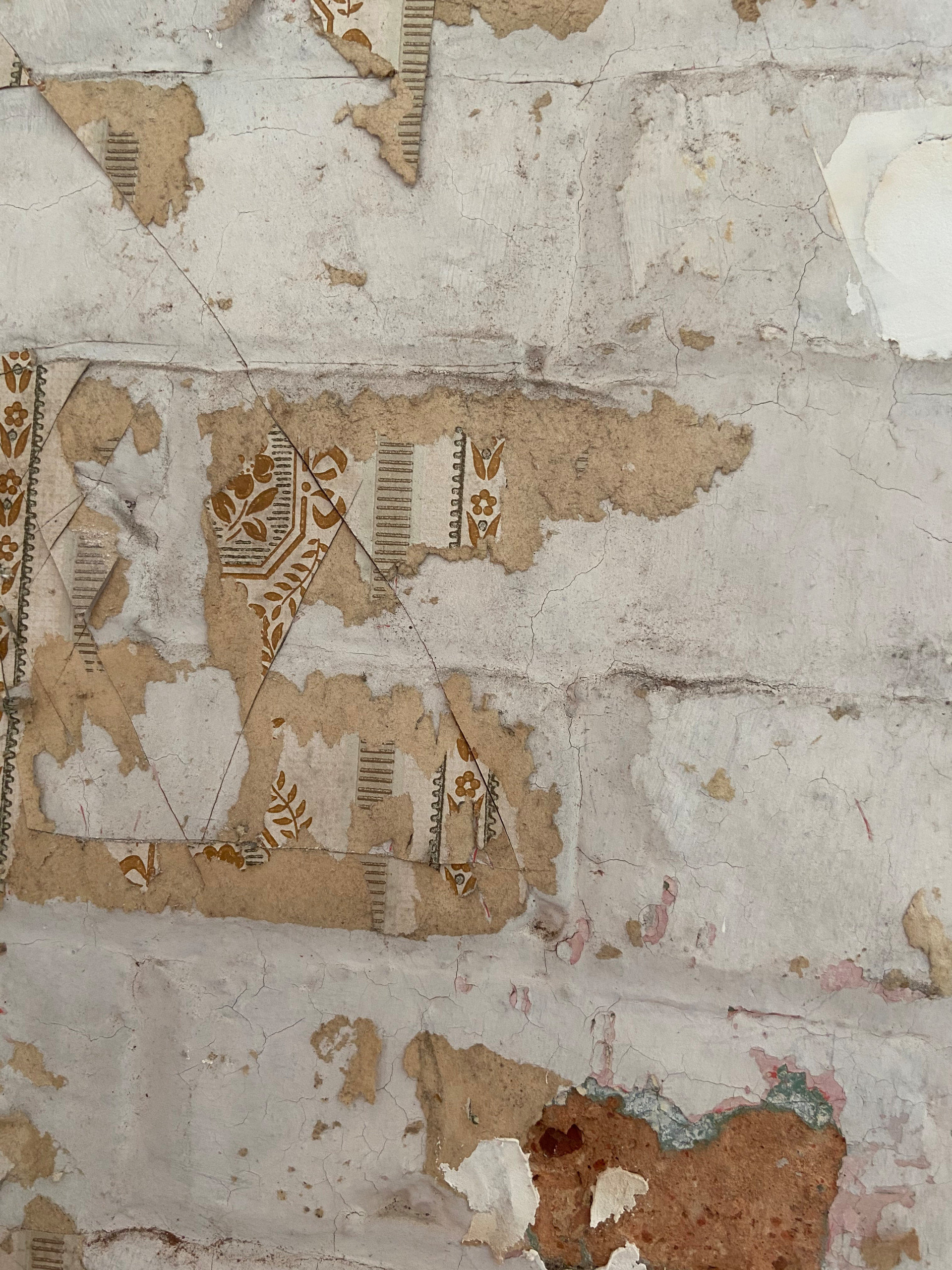 RESTORATION OF A HISTORIC BALMAIN HOME
