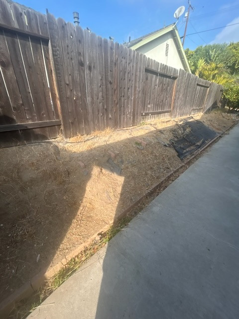 Backyard Renovation