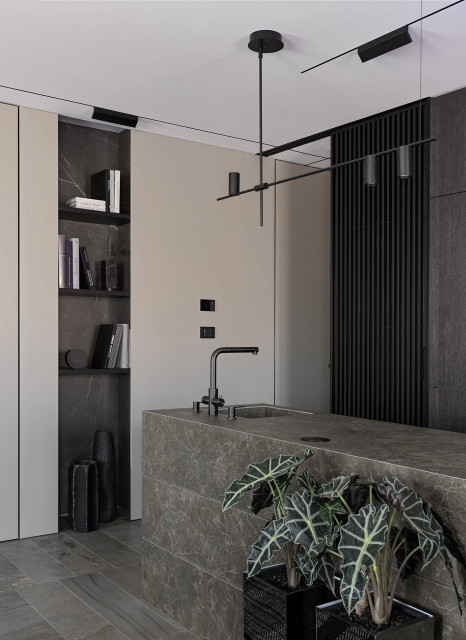 Intelligent interior contemporary-kitchen