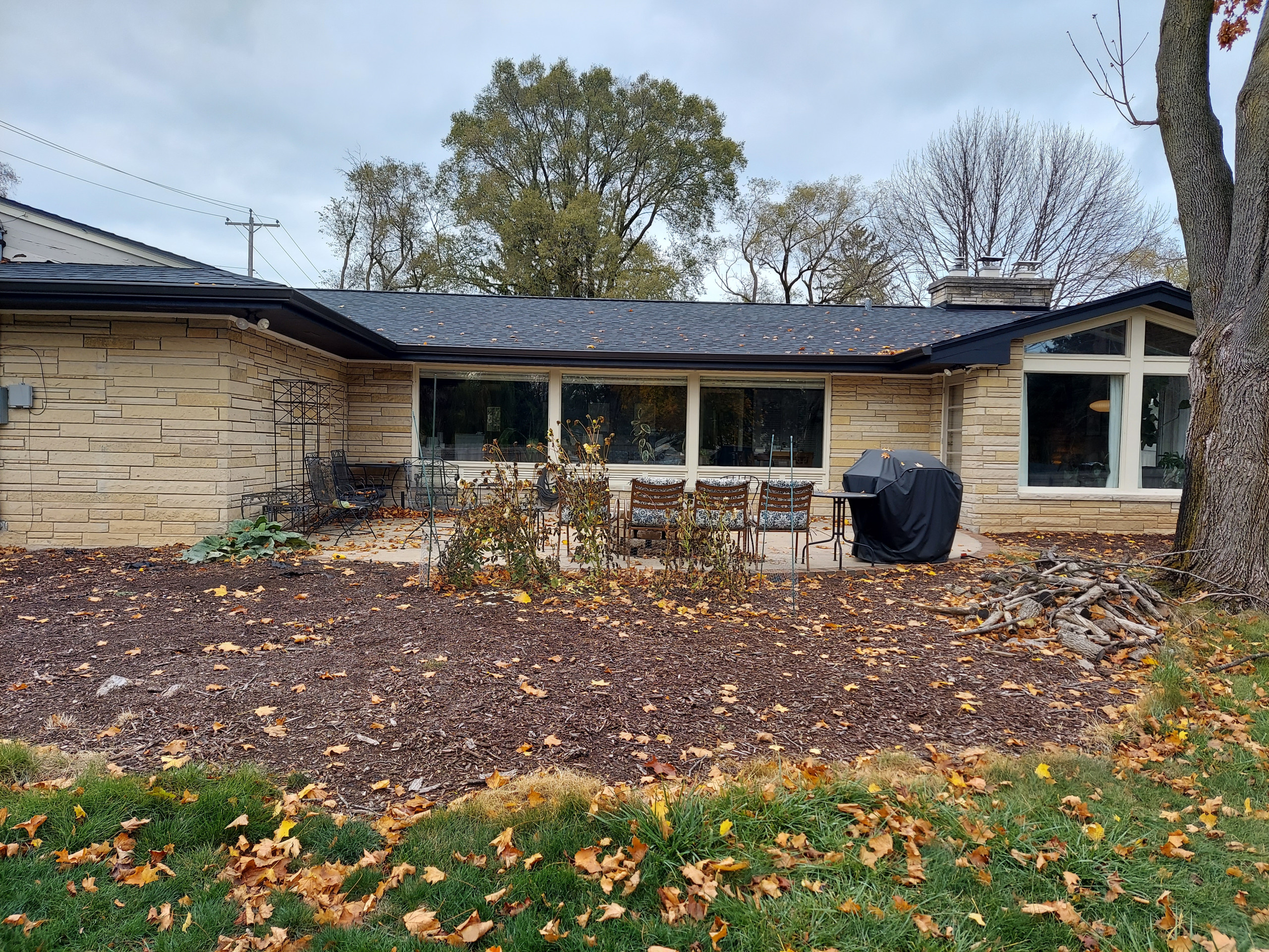 Mid-Century Ranch Front yard + Backyard Landscape - Fox Point