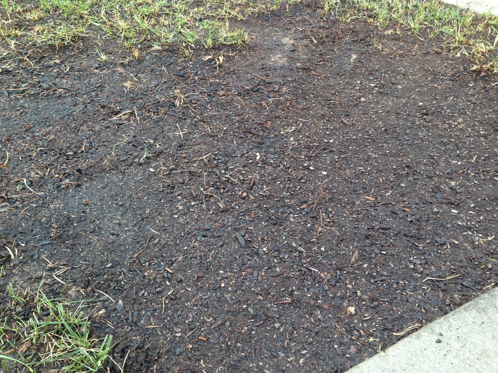 What does too much grass seed look like?