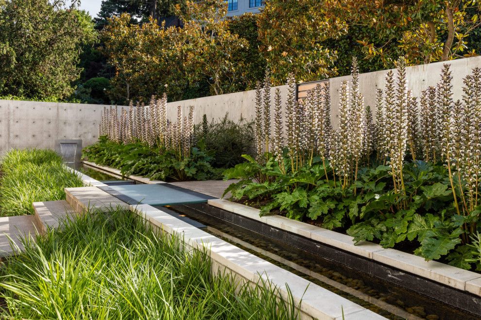 Cette image montre un jardin minimaliste.