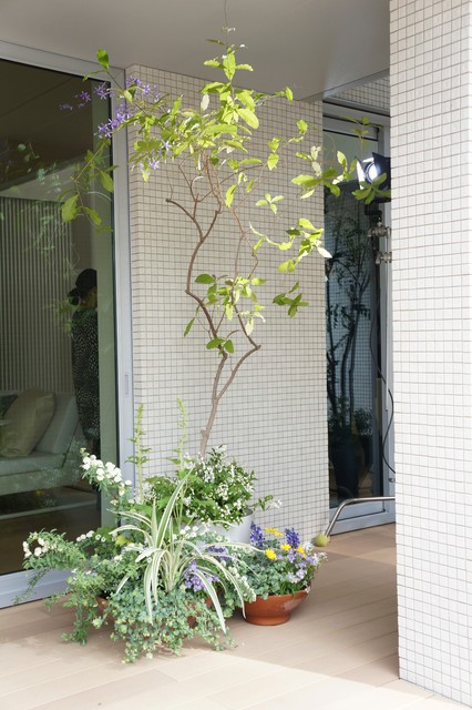 Balcony asiatisk-traedaeck