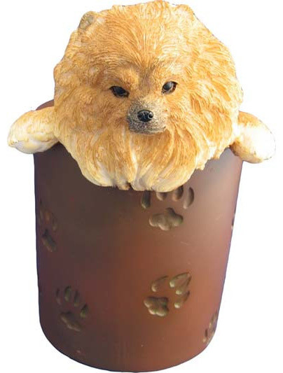 pomeranian accessories shop