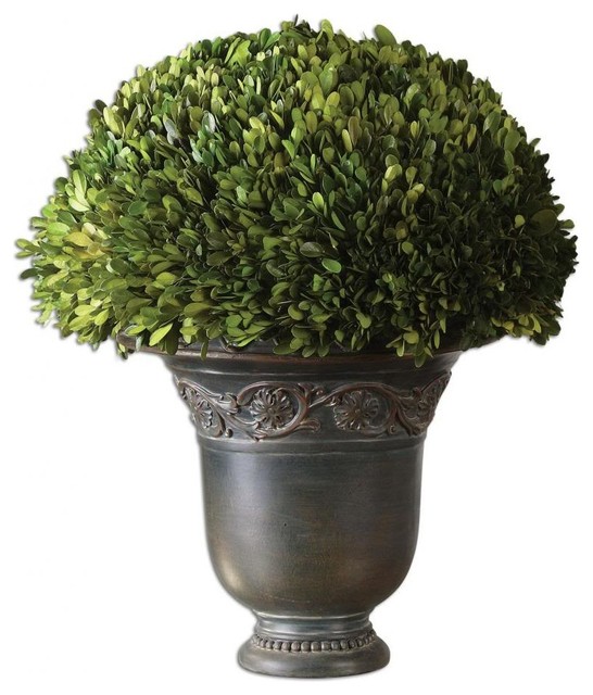 Uttermost Globe Preserved Boxwood Modern Artificial Plants And